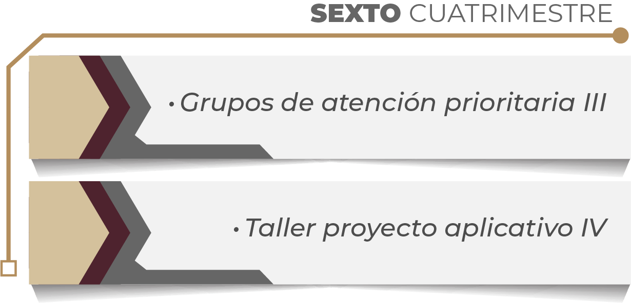 MAPA CURRICULAR GESTIÓN